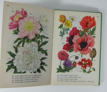 Havens blomster i farver