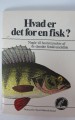 Hvad er det for en fisk?