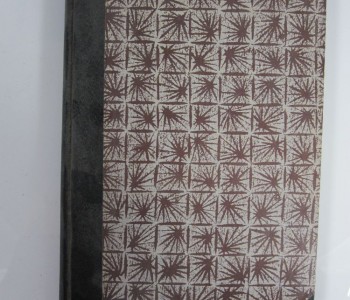 Aalborg. Historie og hverdag