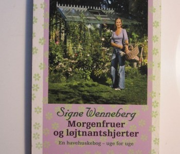 Morgenfruer og løjtnantshjerter