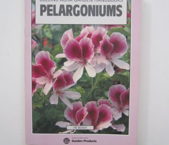 Pelargoniums